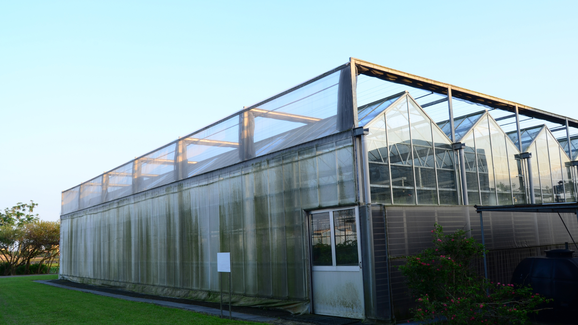 green house (10)